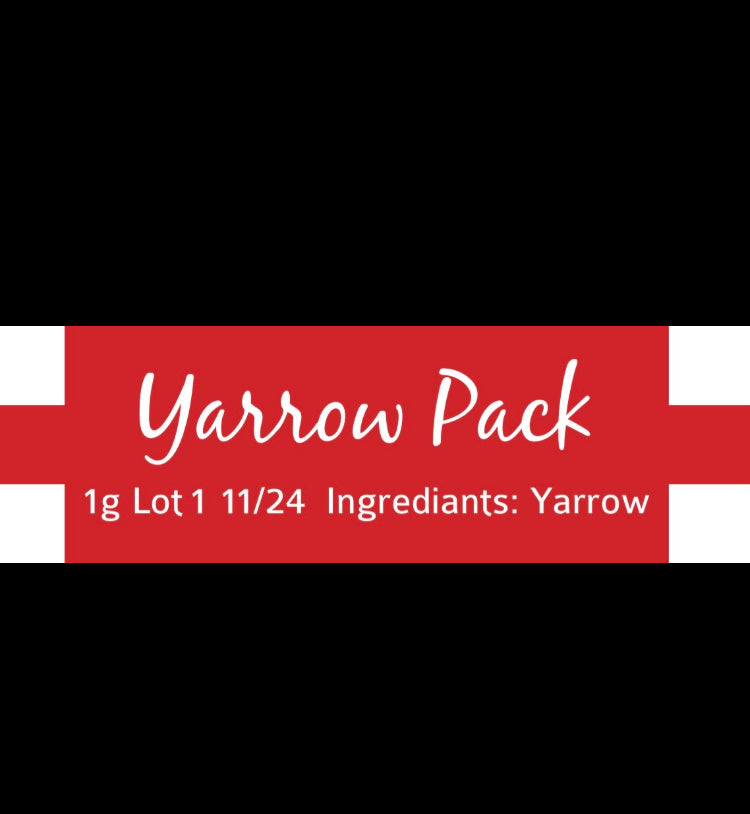Adventurer To Go Kit