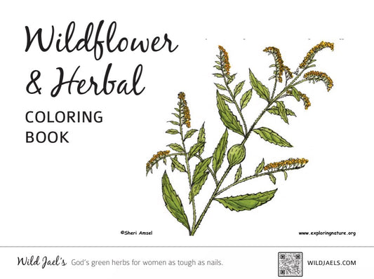 Wildflower Coloring Pages